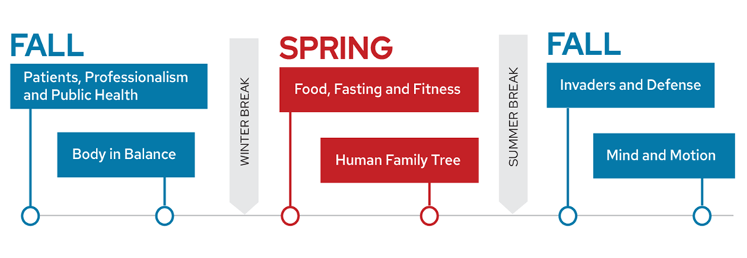 During Phase 1 of the ForWard Curriculum, students complete the Patients, Professionalism and Public Health and Body in Balance blocks in the fall. After winter break, students complete the Food, Fasting and Fitness and Human Family Tree blocks in the spring. In fall of year two, students complete the Invaders and Defense and Mind in Motion blocks.
