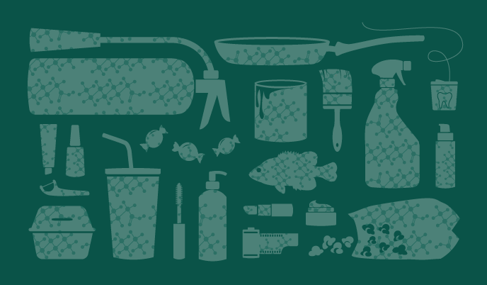 Illustration of products containing PFAS and freshwater fish, illustration by Beth Atkinson