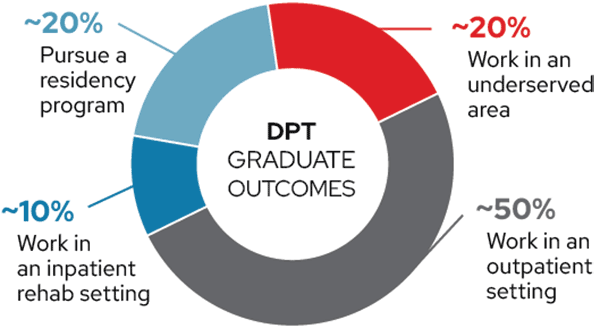 ~20% Pursue a residency program, ~50% Work in an outpatient setting, ~10% Work in an inpatient rehab setting, ~20% Work in an underserved area