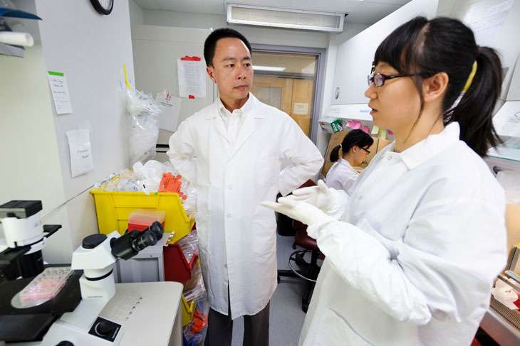 Su-Chun Zhang and a postdoctoral scientist talking in a lab